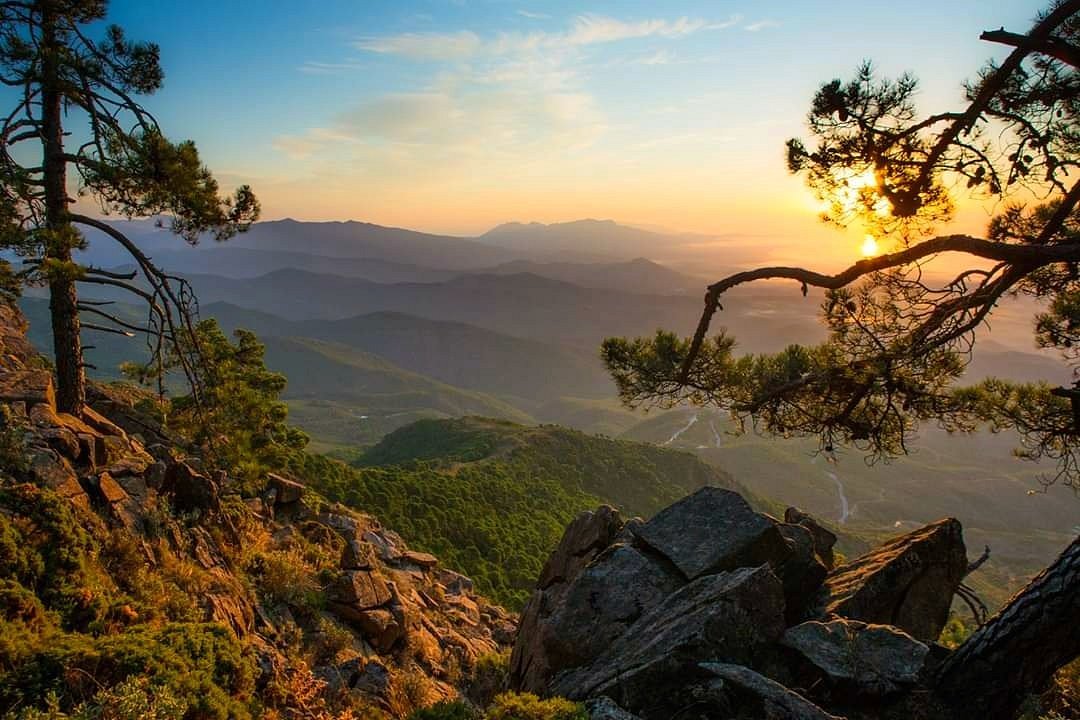 Naturområde Los Reales de Sierra Bermeja