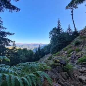 SOUTH COAST AVENTURAS: Fjelltur Sierra Bermeja
