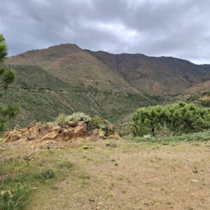 Tur  8 - Pasada del Pino ca 15 km