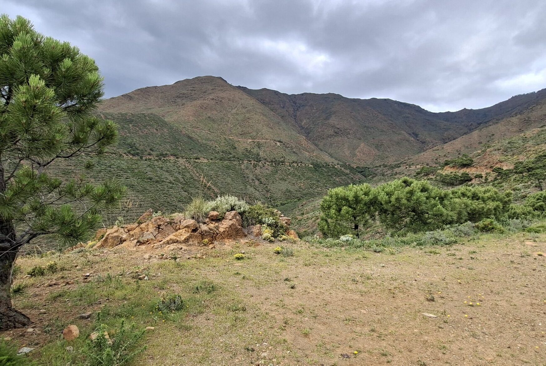 Tur  6 Pasada del Pino ca 15 km