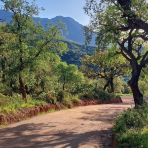 Tur  1 - Sierra Bermeja ca 8 km