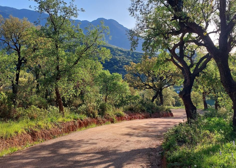 Tur  1 - Sierra Bermeja ca 8 km